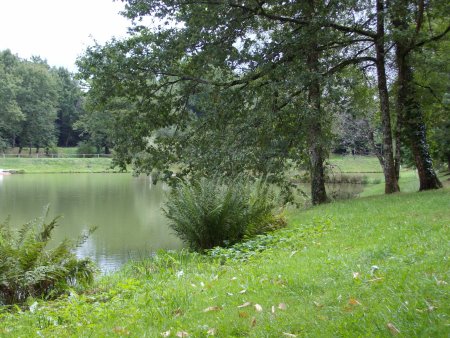 L'étang de Nadine et Georges MACARY  pour concours de pêche à Concèze. Etang privé de 1 ha pour la pêche situé a moins d'un km du gîte de Leycuras